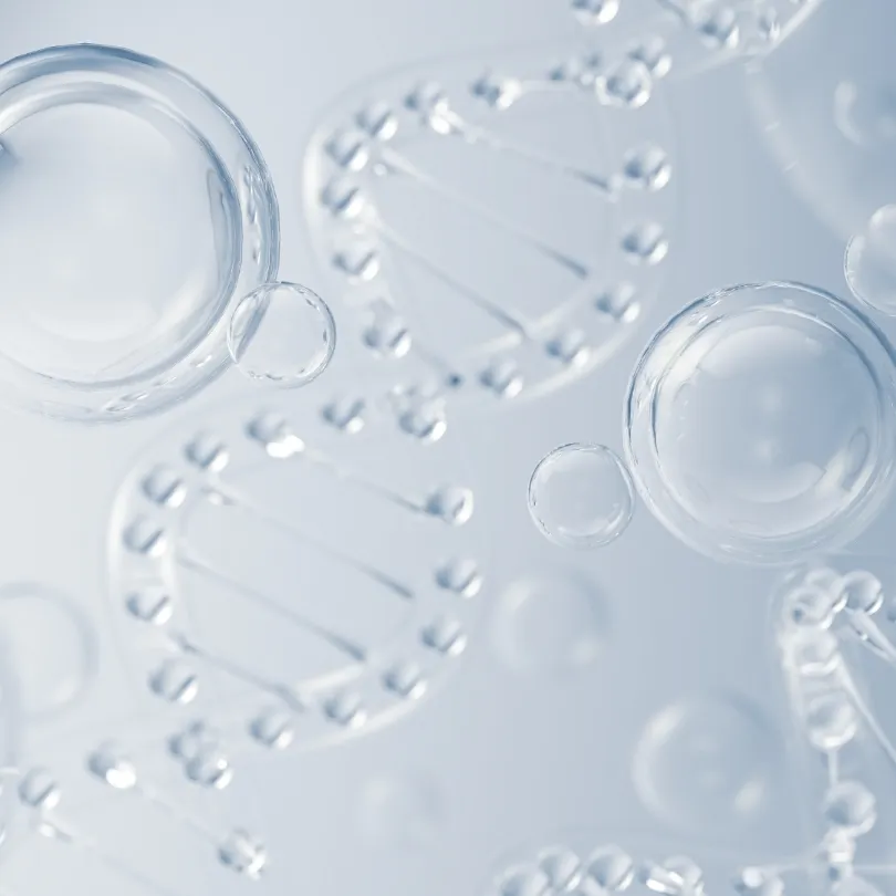 skin regeneration/肌再生