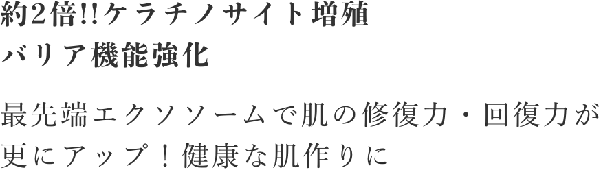 約2倍!!ケラチノサイト増殖バリア機能強化/最先端エクソソームで肌の修復力・回復力が更にアップ！健康な肌作りに